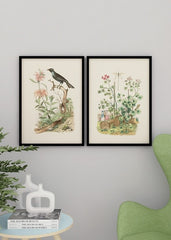 Set of two _ 3
